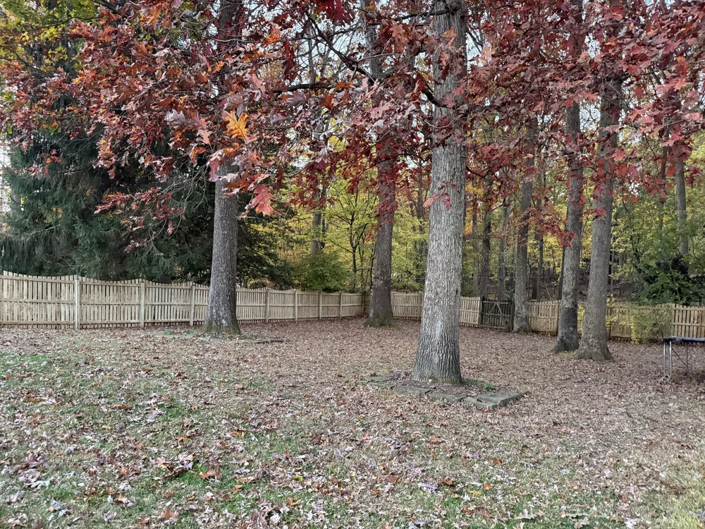 Finished fence in yard